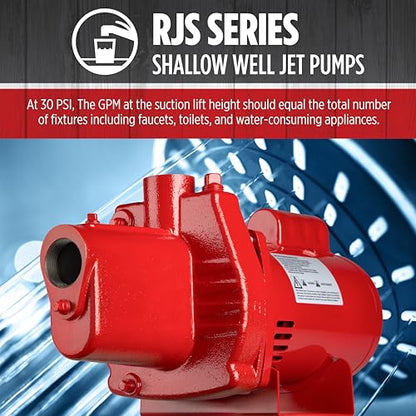 Red Lion RJS-75-PREM 115/230V, 3/4 HP, 16 GPM, Shallow Well Jet Pump - style: 3/4-HP, 16-GPM, Premium