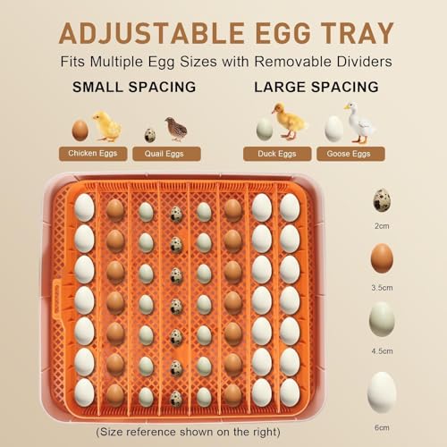 Series IV - 56 Egg Professional Incubator for Breeders, Automatic Sensor-Based Precise Humidity & Temp Control, Adjustable Egg Spacing, Auto Turn & Auto Stop, Preset Incubation Days, Chick Separator - size: 56-Egg Orange