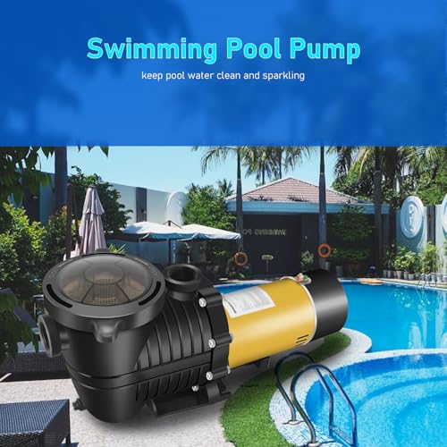 2HP Two Speed Pool Pump for In/Above Ground Pools 6600/2640GPH 230V - color: Deep Gold