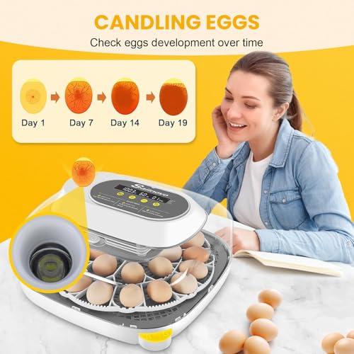Sailnovo 24 Eggs Incubator, 4 Modes, Temp Control & Humidity Display, Grey - color: Grey, size: 24 Eggs