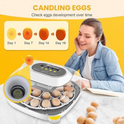 Sailnovo 24 Eggs Incubator, 4 Modes, Temp Control & Humidity Display, Grey - color: Grey, size: 24 Eggs
