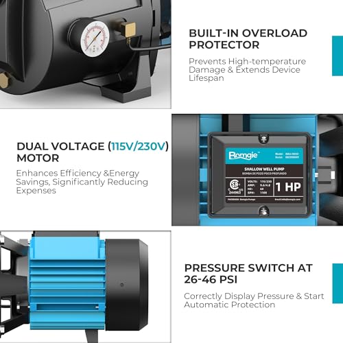 LEO Shallow/Deep Well Jet Pump - size: Convertible