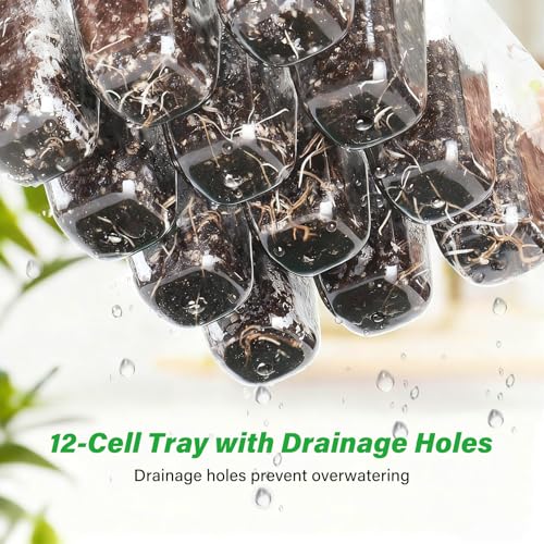 Bonviee 12-Pack Seed Starter Trays, 12-Cell Insert Trays, Clear - color: Clear, size: 144 Cells
