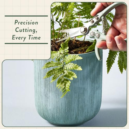 Modern Sprout Hydroponic Grow + Harvest Bundle - color: Cilantro Garden Jar + Chartreuse Shears