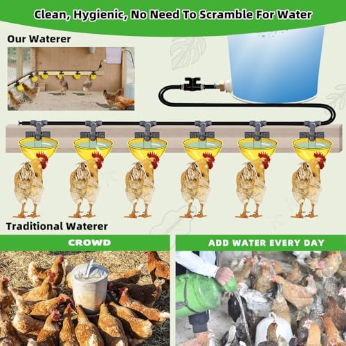 Automatic Chicken Water System, Complete Set with Large Water Cup,Pipeline - size: 6Cups