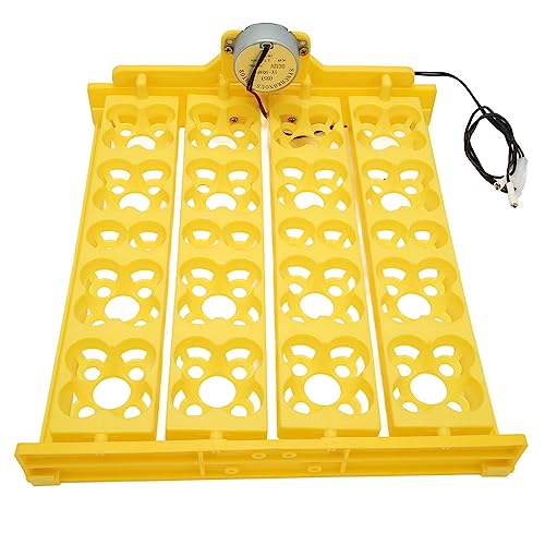 Automatic Egg Turner Tray - Multifunction Incubator Tray for 16 Duck Eggs, 72 Quail Eggs (DC12V) - size: DC12V