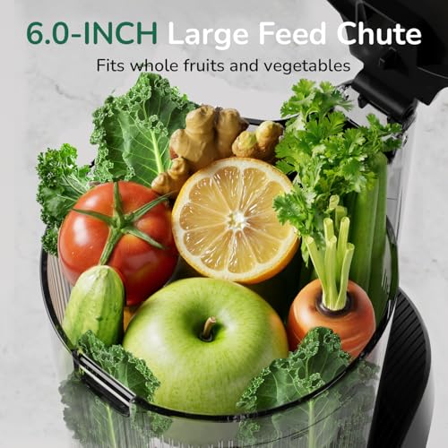 Canoly 3-in-1 Cold Press Juicer C16, Makes Juice & Sorbet & Nut Milk - color: Space Gray