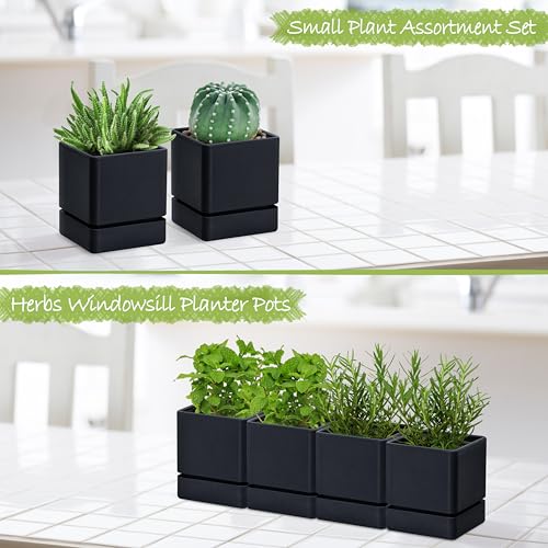 D'vine Dev 4-Pack Plastic Herb Planter Pots, 4 in, Black, 76-Y-B4-1 - color: Black, size: 16 Inch x 4.5 Inch