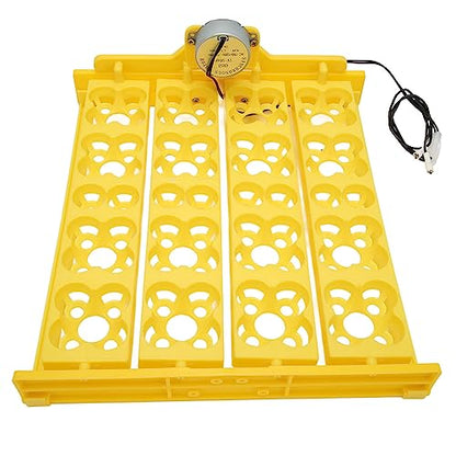 Automatic Egg Turner Tray - Multifunction Incubator Tray for 16 Duck Eggs, 72 Quail Eggs (AC110V) - size: AC110V