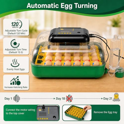 Egg Incubators for Hatching 30 Eggs with Temperature Humidity Control,Green - color: grass green