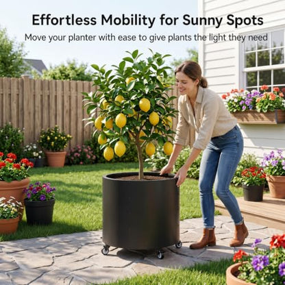 2 Pack Rolling Planter for Tree,30 Gallon Large Metal Tree Pots for Outdoor - color: Black