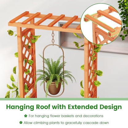 LDAILY Raised Garden Bed with Trellis, Above Ground Garden Bed with Hanging Roof, Side Trellis, & Drainage Holes, Planter Box for Outdoor Climbing Plants Vines Flowers (1, 31" L x 14" W x 60" H) - size: 31" L x 14" W x 60" H