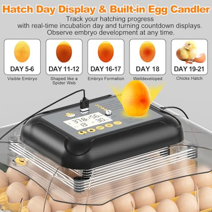 30 Egg Incubator for Hatching Eggs with Auto Egg Turning, High Precision Temperature & Humidity Display, Hatch Day, Egg Candler, Incubator for Hatching Chickens, Higher Hatch Rate