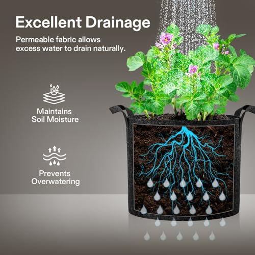 VIVOSUN 5-Pack 2 Gallon Plant Grow Bags Fabric Pots with Handles - color: Black, size: 2 Gallons