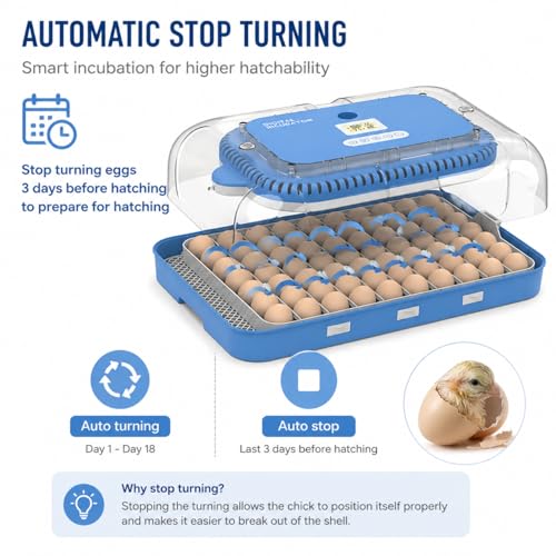 70 Egg Incubator for Hatching Eggs withAuto Turn, Temp & Humidity Control, Built-in CandleLarge Capacity Egg Incubator for Chicken Duck Goose Eggs