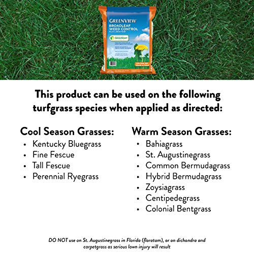 GreenView Weed and Feed 13 lb. Bag, Covers 5,000 sq. ft. - size: Covers 5,000 sq. ft.