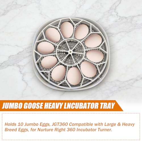 JGT360 Jumbo Goose Egg Incubator Tray for Nurture Right 360 Incubator