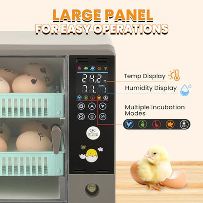Cabinet Incubators for Hatching Eggs, 24 Egg Incubator