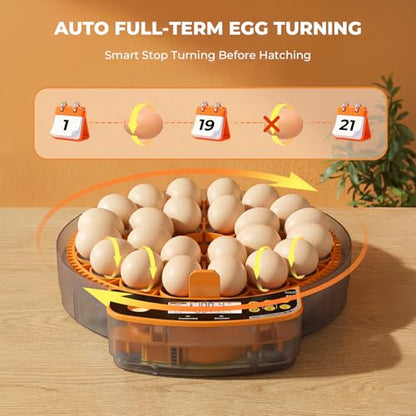 24 Egg Incubator - Smart Incubators for Hatching Chicken Eggs with Temperature & Humidity Control, Egg Candler, Auto Egg Turner, and Abnormal Alarm - size: 24 Eggs