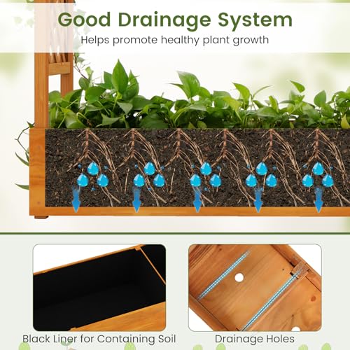 S AFSTAR 77-Inch Raised Garden Bed with Arch Trellis, Hanging Roof & Drainage Holes, Vertical Plant Container for Vine Climbing Plant Flower, Indoor Outdoor Wood Elevated Planter Box for Garden - size: 77"L x 17"W x 70"H