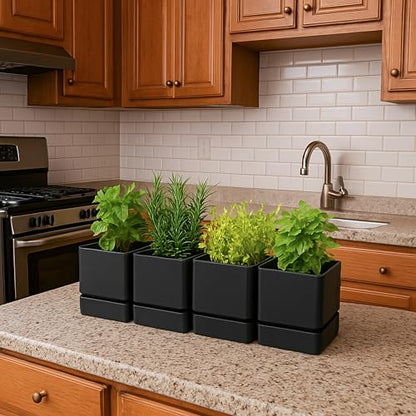 D'vine Dev 4-Pack Plastic Herb Planter Pots, 4 in, Black, 76-Y-B4-1 - color: Black, size: 16 Inch x 4.5 Inch