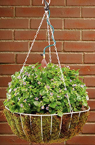 Orbit 56311 Hanging Basket Drip Irrigation Drip Watering Kit with Flex Misters - size: 1 pack, style: Without Timer
