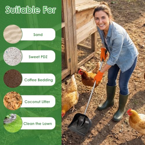 Thiswing Chicken Poop Scooper & Rake 2-in-1, Black - color: Black