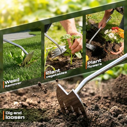 Weed Puller Tool, Heavy-Duty Stainless Steel Garden Hand Weeding Tool - size: 4-tooth
