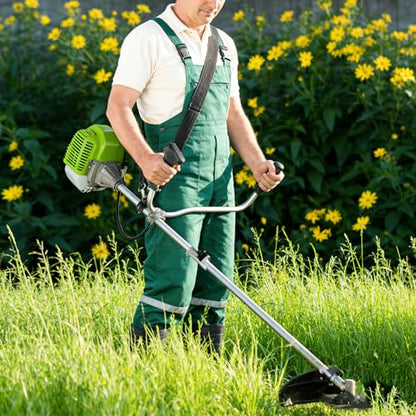 58CC Gas Powered Weed Eater, 4 in 1 String Trimmer, Green - color: Green