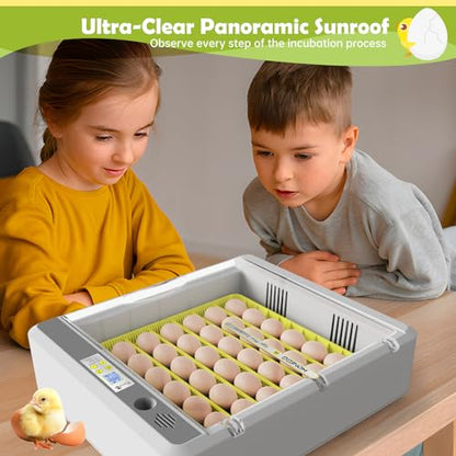 Egg Incubator for Hatching Chick, 36 Eggs Automatic Temp & Humidity Control - color: SXY-Eg36