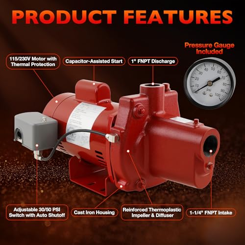 RJS-100-PREM Premium Cast Iron Shallow Well Jet Pump