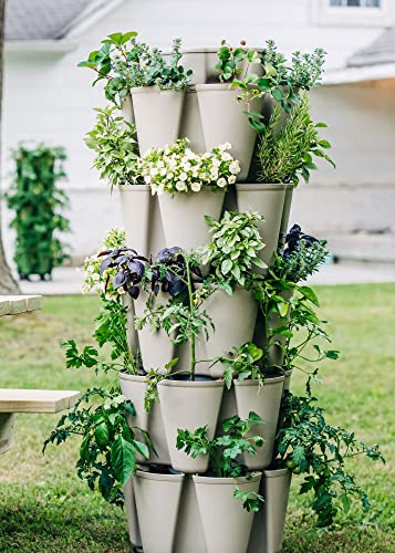 Greenstalk Patented Large 5 Tier Vertical Garden Planter with Patented Internal Watering System Great for Growing a Variety of Strawberries, Vegetables, Herbs, & Flowers (Stunning Stone) - color: Stunning Stone