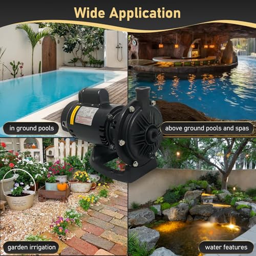 115/230Vac PB4-60 Pool Booster Pump For Pressure Side Pool Cleaner - color: Dark Gray