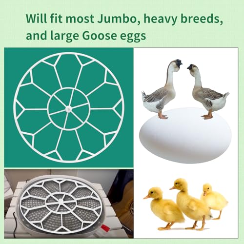 Goose/Peacock Egg Tray Compatible with Nurture Right 360 Turner (JGT360)