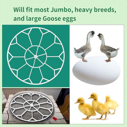 Goose/Peacock Egg Tray Compatible with Nurture Right 360 Turner (JGT360)