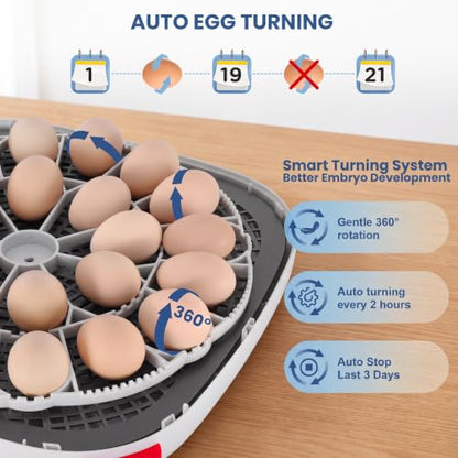Sailnovo 24 Egg Incubators for Hatching Eggs, 360° View with 4 Modes, Blue