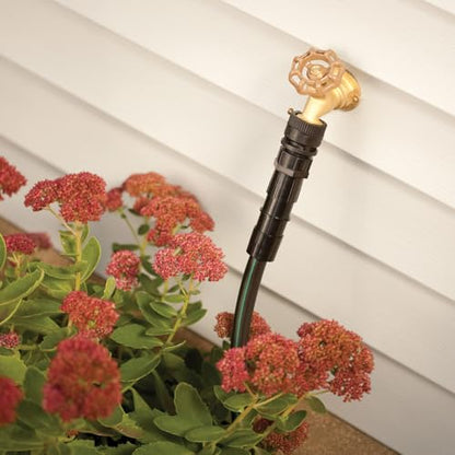Rain Bird HT075BFFSX Drip Irrigation Backflow Preventer and 150 Mesh Filter, 3/4" Female Hose Thread - size: 3/4" Hose Thread