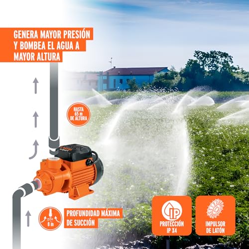 Peripheral pump electric water 3/4 HP, Truper Expert - size: 3/4 HP, style: Above Ground