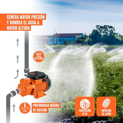 Peripheral pump electric water 3/4 HP, Truper Expert - size: 3/4 HP, style: Above Ground
