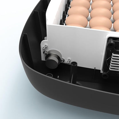 Automatic 12 Egg Incubator with US Plug, PP Material Digital Temperature Control, High Hatch Rate Egg Hatcher for Chicken, Duck and Quail Eggs