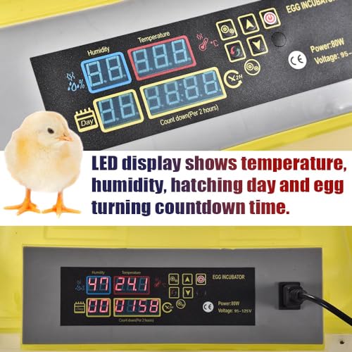 GRAND ORANGE Egg Incubator Automatic Digital Poultry Hatcher Machine - size: 96 Eggs