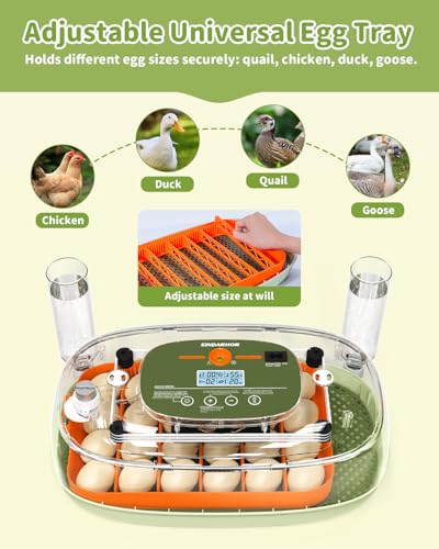 24 Egg Incubator with Automatic Turner Poultry Hatcher - color: Green