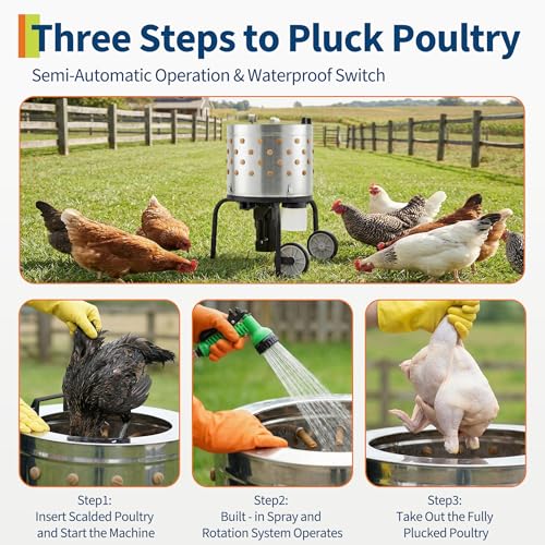 Chicken Plucker Machine, 20 inch Drum Stainless Steel Poultry Plucker - color: Black