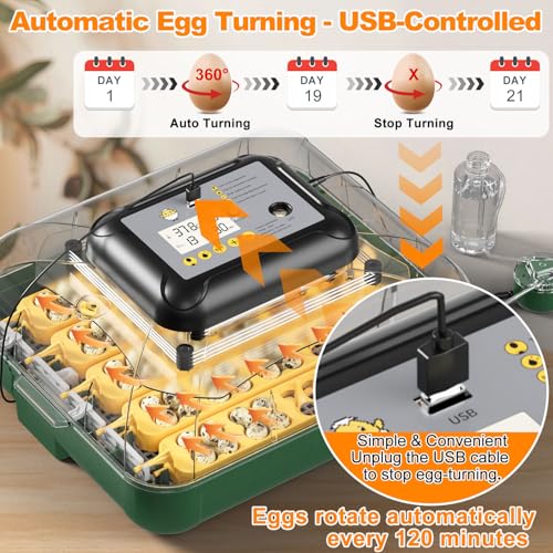 25 Egg Incubator for Hatching Eggs with Automatic Egg Turning, Temperature & Humidity Display, Hatch Day Countdown, Auto Water Refilling System, Egg Candler, Multifunctional Egg Tray for Chicken - size: M-125 Quail Eggs