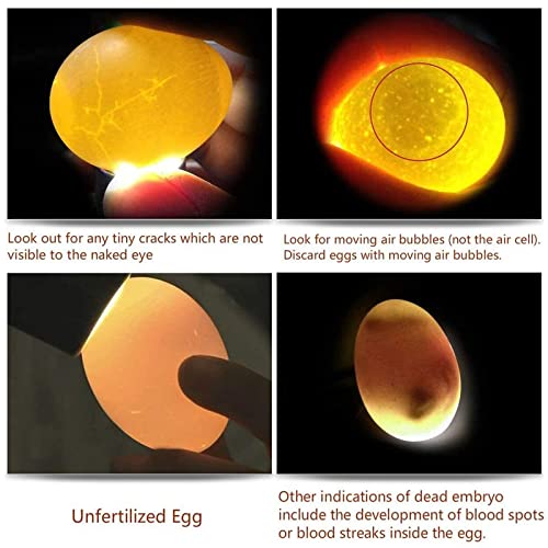 Egg Candler for Chicken Eggs, Rechargeable USB Egg Candling Light - color: Dark Silver