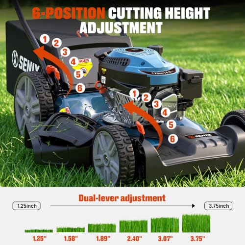 SENIX 21 in Self Propelled Gas Lawn Mower, 6 Cutting Height Adjustment - size: 21 Inch