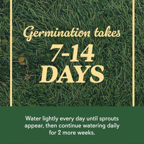 O.M. Scott & Sons Tall Fescue Blend Grass Seed, 8 lbs. - color: Tall Fescue, size: 1 Pack