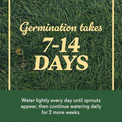 O.M. Scott & Sons Tall Fescue Blend Grass Seed, 8 lbs. - color: Tall Fescue, size: 1 Pack