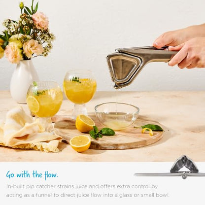 Dreamfarm Fluicer Steel Fold-Flat Citrus Juicer - Lemon - color: Stainless Steel
