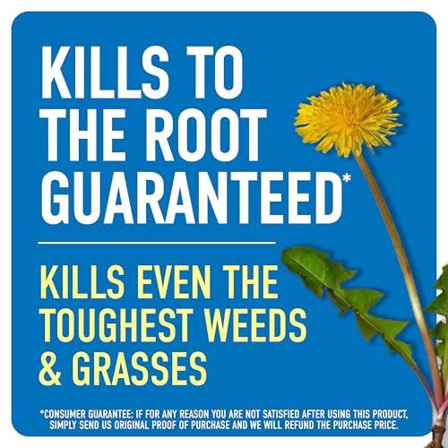 Roundup Weed & Grass Killer4 Concentrate, 1 gal. - size: 1 gal. Conentrate